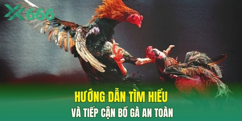 Hướng dẫn tìm hiểu và tiếp cận bồ gà an toàn